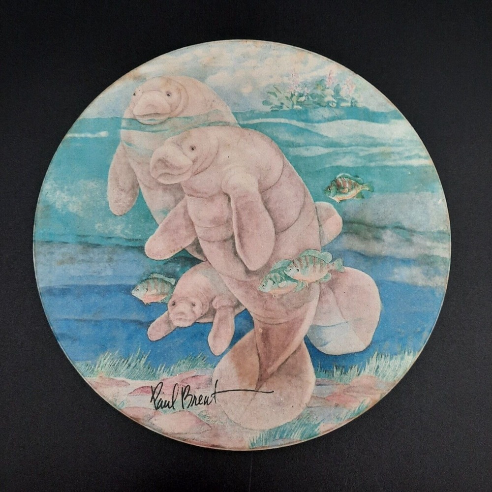 Paul Brent‎ Manatee Family Round Ceramic Coaster Replacement With Cork Backing